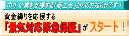 �i�C�Ή��ً}�ۏؐ��x