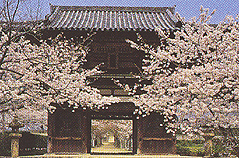 長保寺 大門