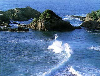 陸の黒島・沖の黒島写真