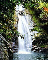 琴の滝写真